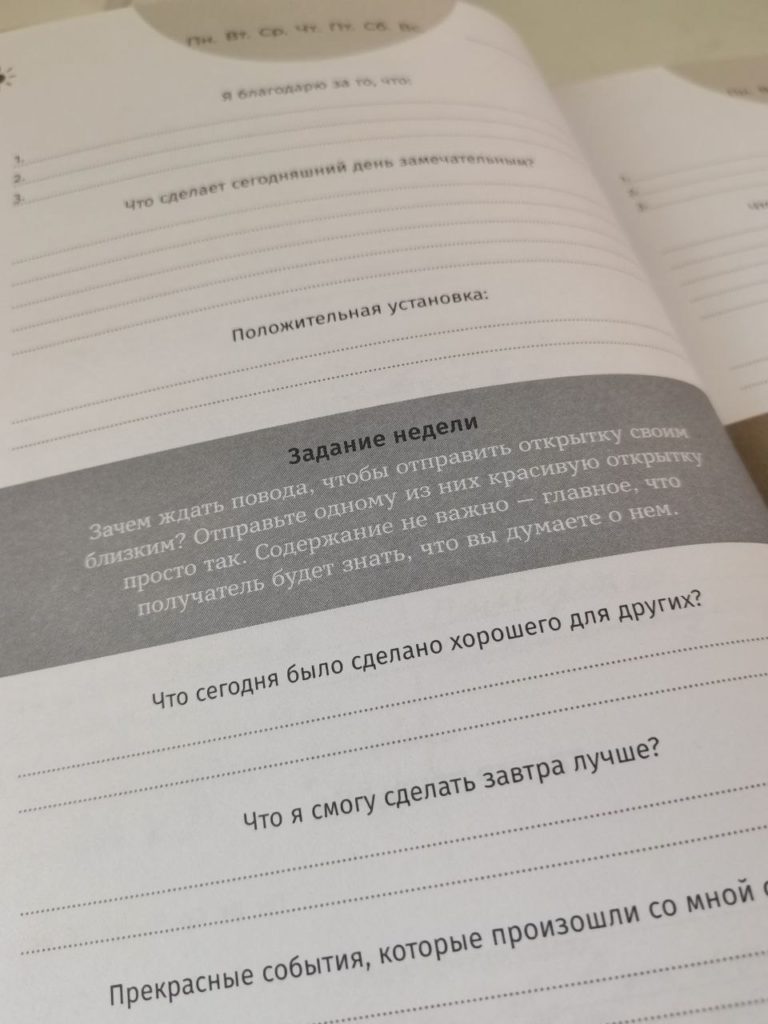 Дневник рефлексии и побед